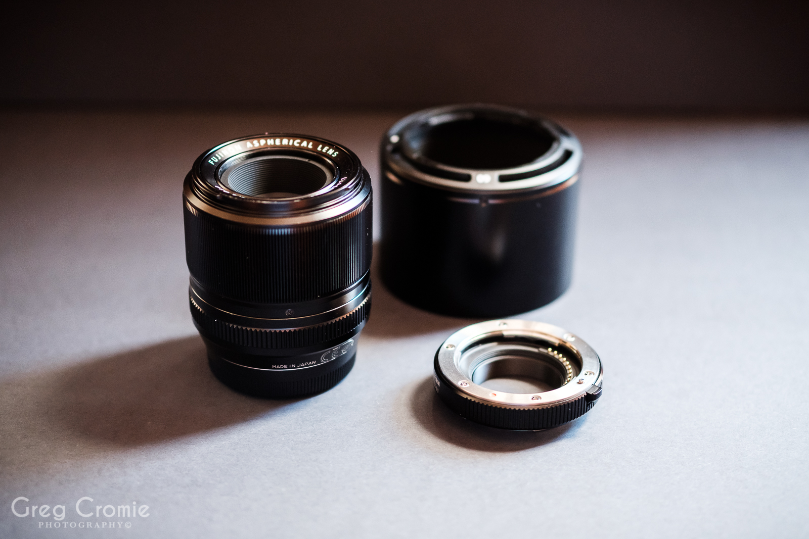 Macro Photography – Fujifilm XF60mmF2.4 & MCEX-11 | Greg Macro Photography – Fujifilm XF60mmF2.4 & MCEX-11 | Greg